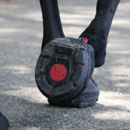 Hovboots